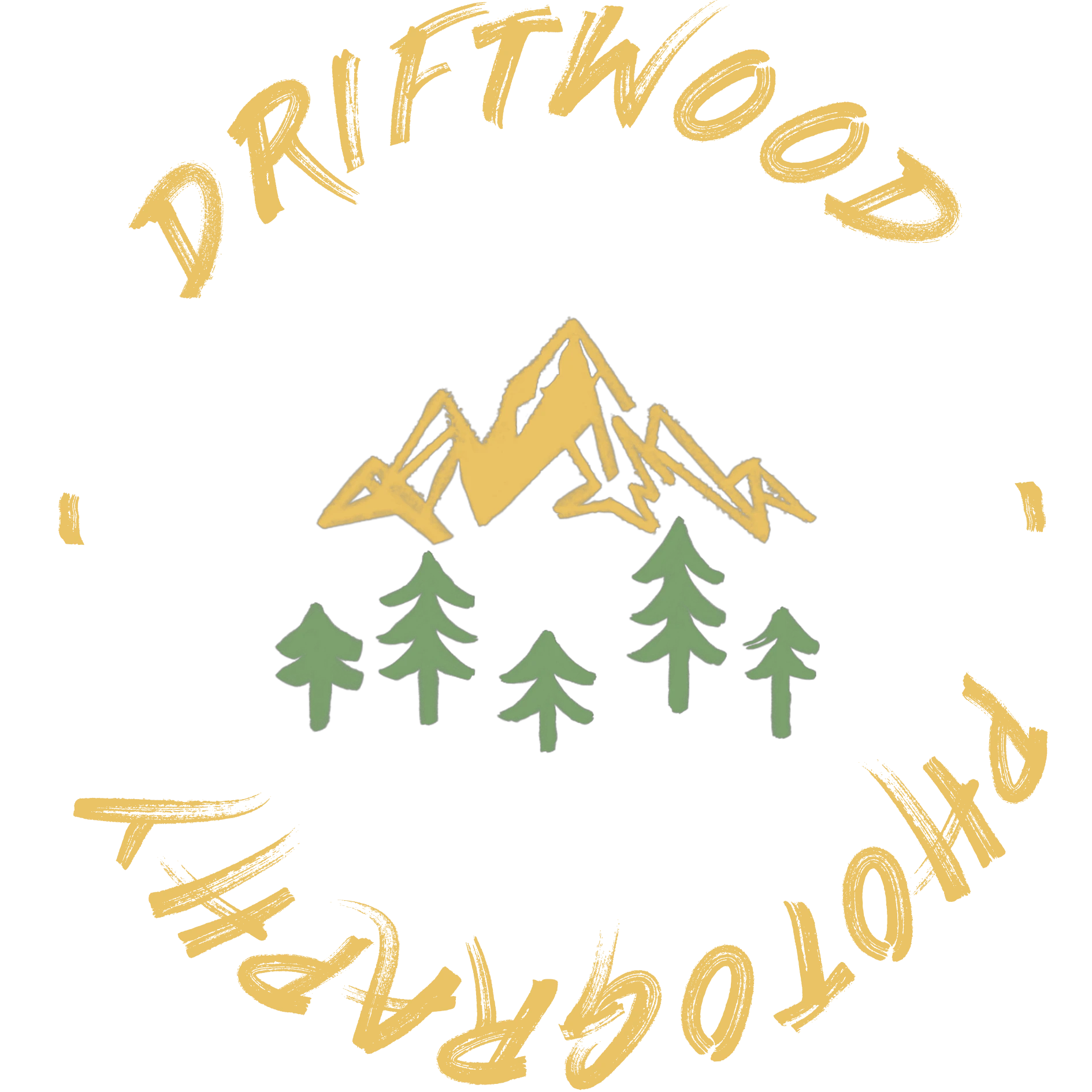 Driftwood Photography Logo